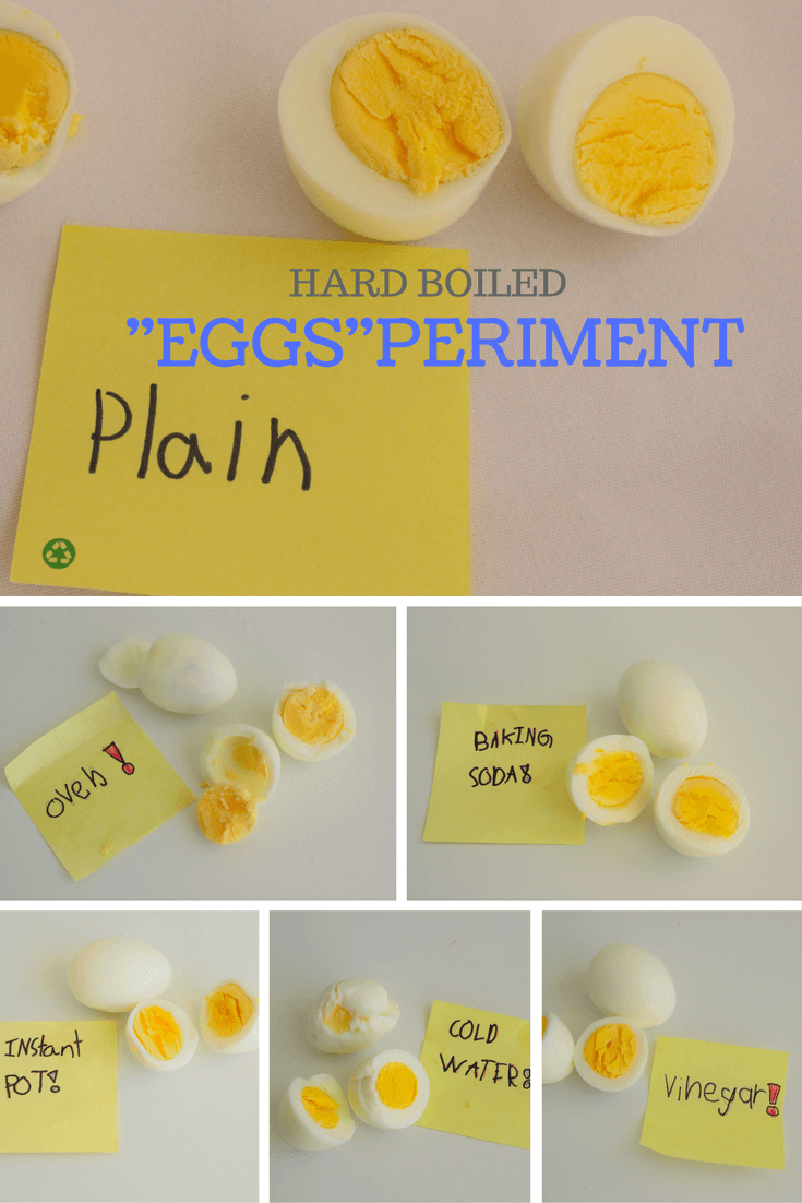 eggsperiment
