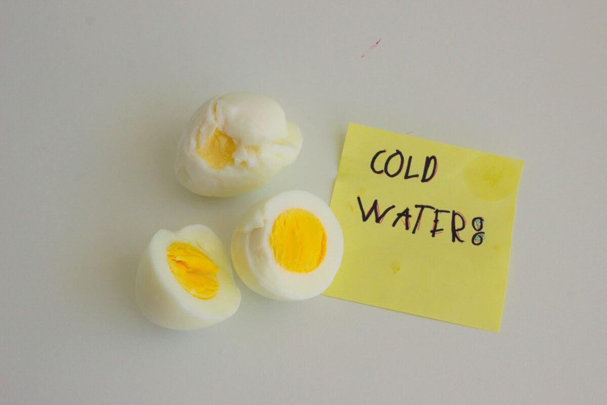 eggsperiment-cold water
