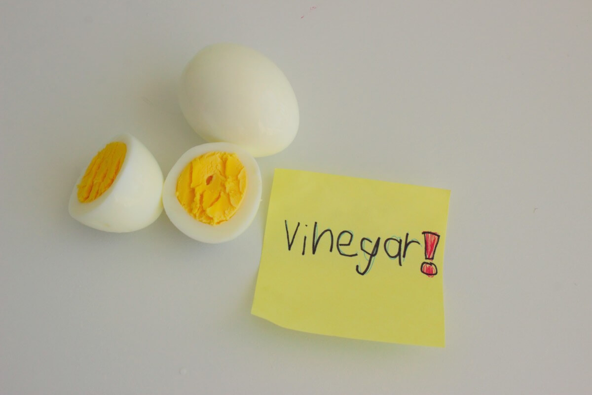 eggsperiment-vinegar